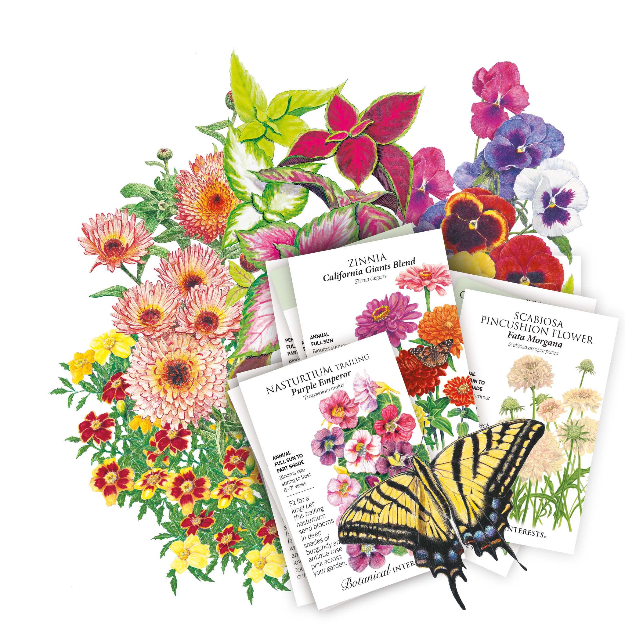 Botanical Interests Sale